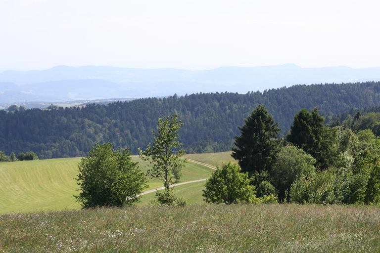Others 2, Vogelbacher Hof - Dachsberg im Sudschwarzwald, Waldshut