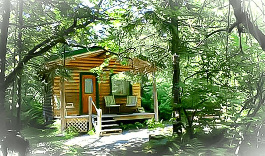 Others 4, Alaska Creekside Cabins in Seward, Kenai Peninsula