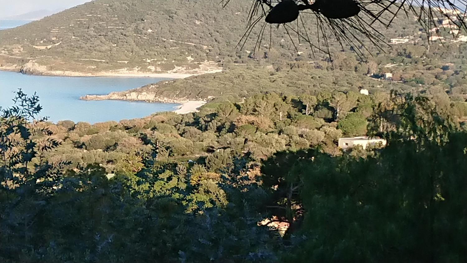 Others 4, LOCANOMA, Haute-Corse