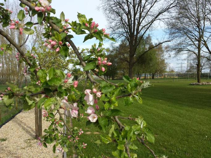 Others 5, B&B Johannes-Hoeve, Maasbree