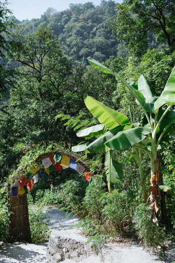 Others 5, Rishikesh Valley Hotel, Tehri Garhwal