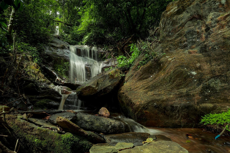 Others 5, Prakruthi Home Stay, Chikmagalur