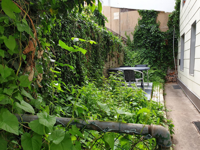 Others 5, City Apartment an der Caracalla Therme, Baden-Baden
