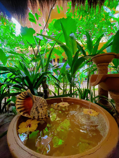 Food & Drinks 5, Soeliana Resort - Siargao, General Luna