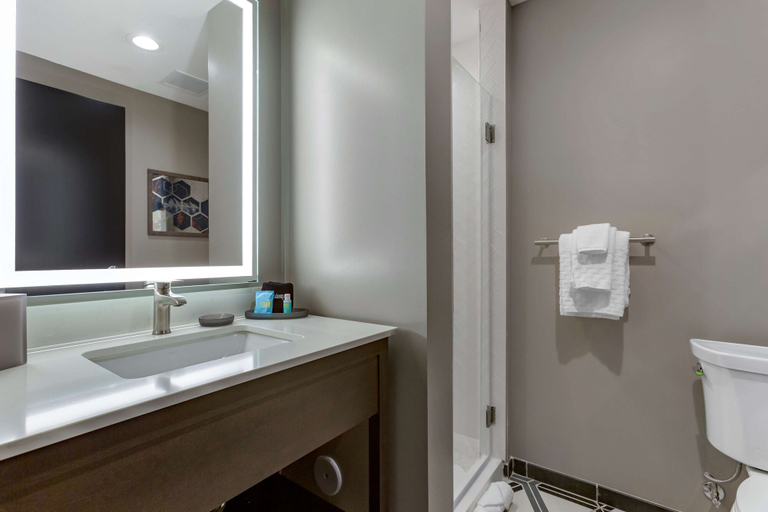 Bathroom 4, Vīb Hotel by Best Western Phoenix - Tempe, Maricopa