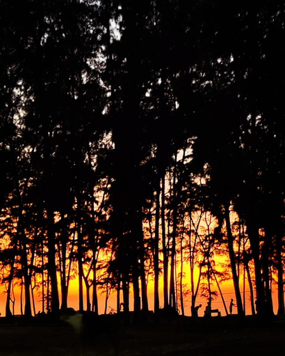 Others 4, Kamat Cottages, Palghar