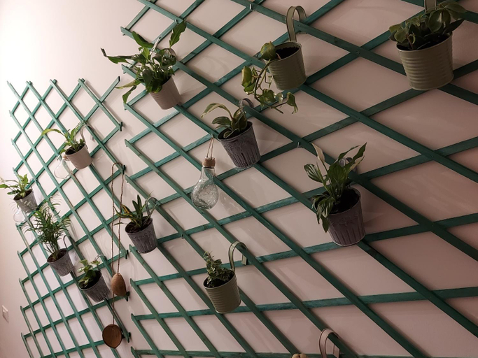Others 4, Guesthouse Calvart25, Bologna