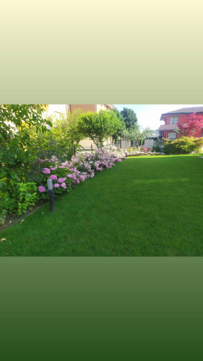 Others 5, Al Casale B&B, Padua