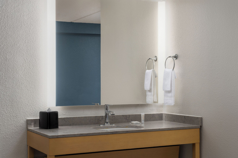 Bathroom 4, Hyatt Place Columbia/Harbison, Richland