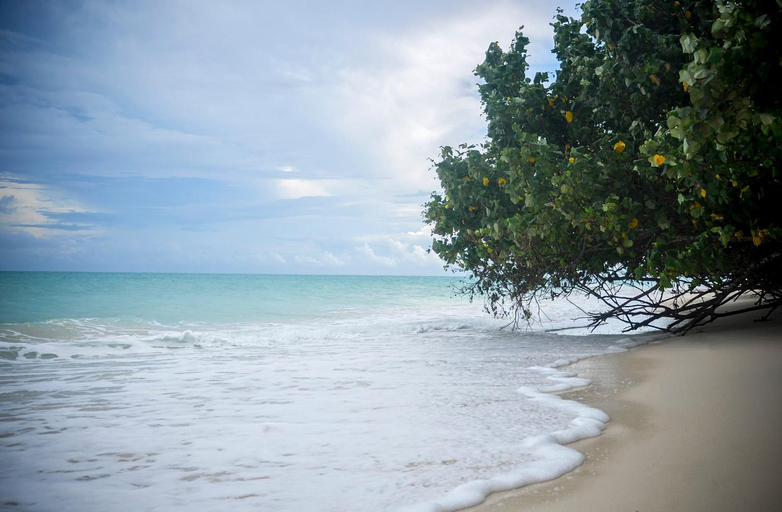 Others 4, Emerald Gecko Resort-Havelock Island, South Andaman