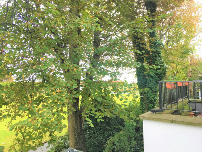 Others 4, Seaside Cottage with Parking, West Sussex