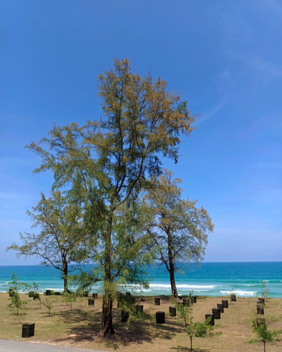 Exterior & Views 3, The Retreat Tanjung Jara, Dungun