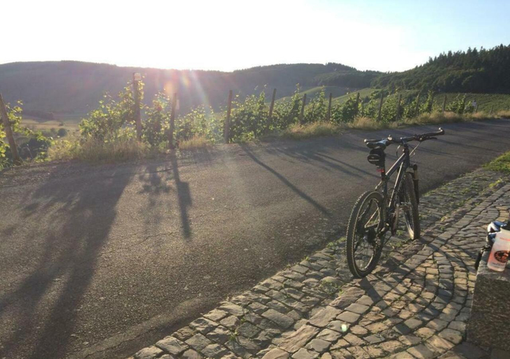 Others 3, Schlossje, Bernkastel-Wittlich