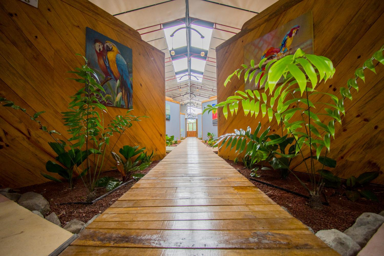 Others 5, Hotel Hacienda Don Paolo, Coto Brus