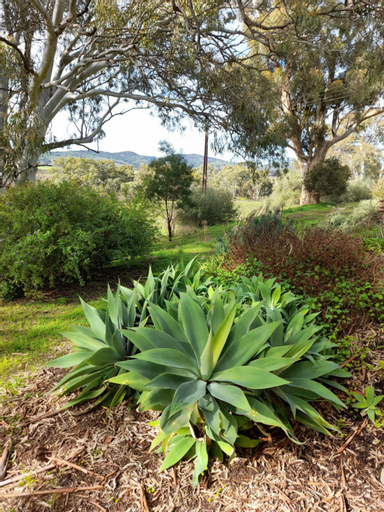 Exterior & Views 4, Archery Road Estate, Barossa - Tanunda