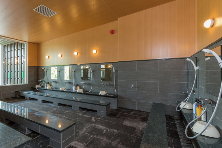 Bathroom 5, Morinoyu Resort, Beppu