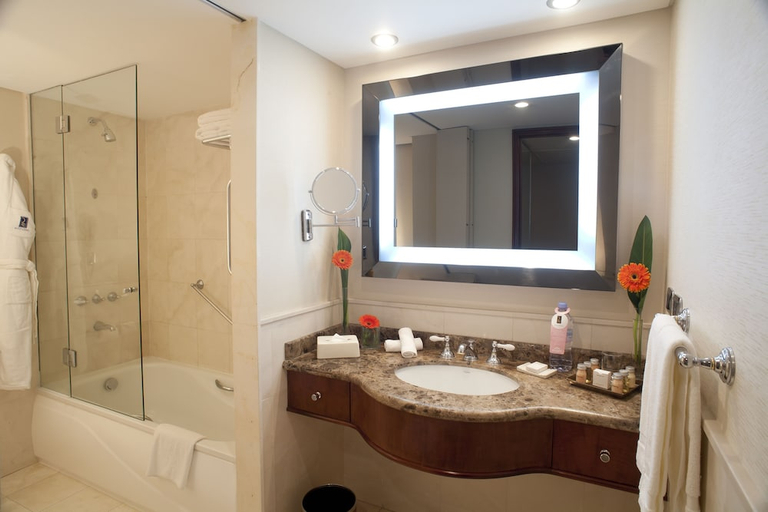 Bathroom 4, HOTEL REGAL PACIFIC, Distrito Federal