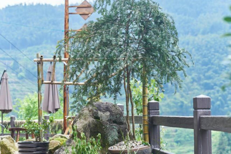 Others 5, Linxi Xiaoyin Homestay, Lishui