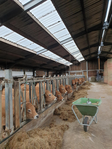 Others 2, B&B La ferme du Chateau de Broich, Liège