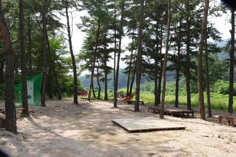 Others 5, Sangju Yeoyurounhwangtojib Pensyeon, Goesan