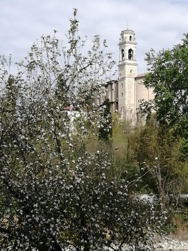 Others 3, Due Magnolie, Mantua