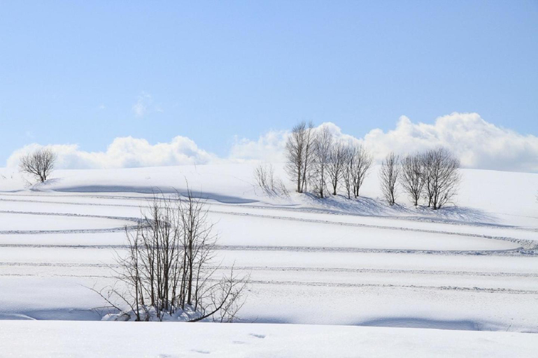 Others 5, stay in suehiro, Asahikawa