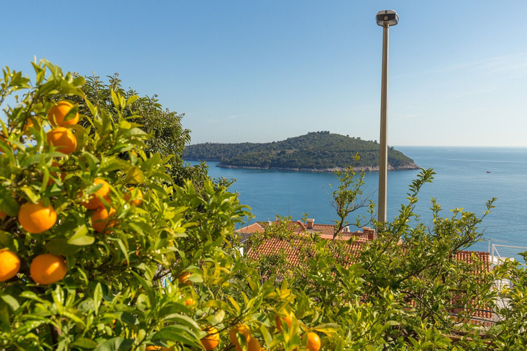 Others 5, Ploce Apartments - Niky, Dubrovnik
