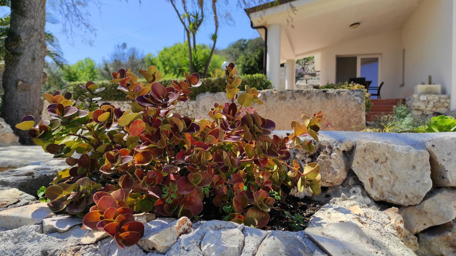Others 5, Villa Resta - Ampio Giardino E Splendida Vista Mare, Lecce