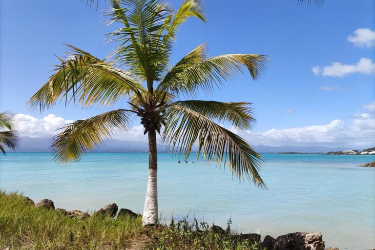 Exterior & Views 3, Pause_Yuccas, Le Gosier