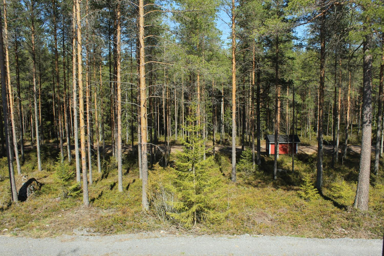 Others 2, Metsakartano, Central Ostrobothnia