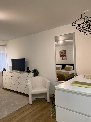 Eine schone Wohnung am Messeplatz, Basel