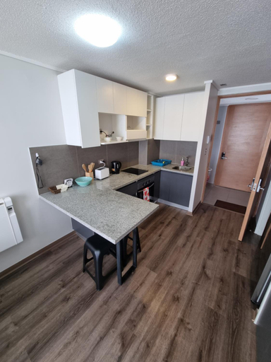 Others 4, 408/ Precioso apartamento 1D+1B /(3 camas)/ JUMBO+CENTRO 5 MIN, Llanquihue