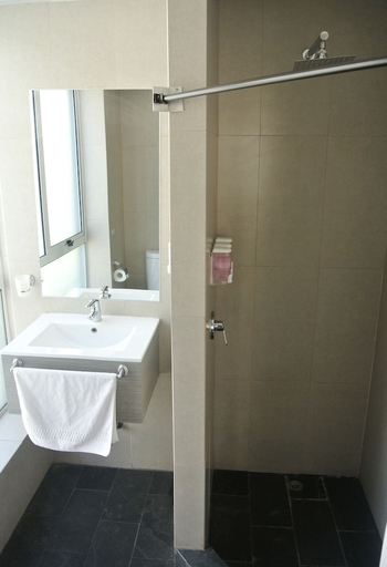 Bathroom 3, Elisa Cole, Santiago