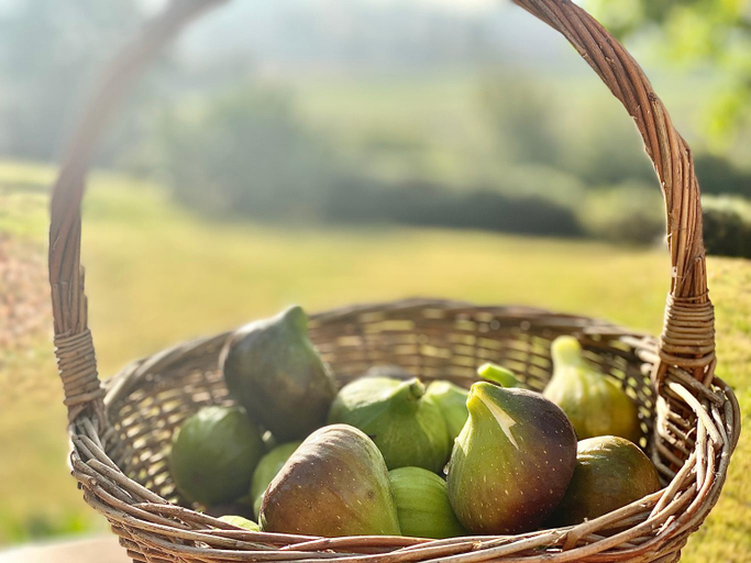 Food & Drinks, A l'ombre du Tilleul, Charente
