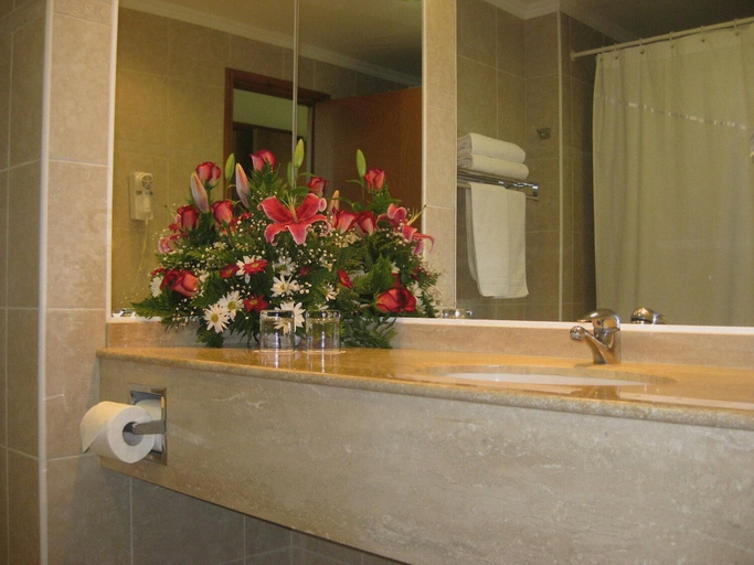Bathroom, HOTEL DIEGO DE ALMAGRO TALCA, Talca