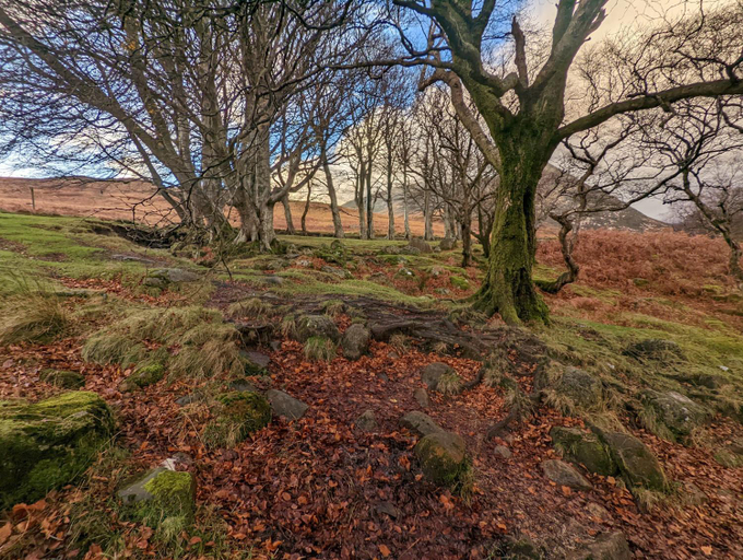 Others 3, The Best Moments Start Here, North Ayrshire