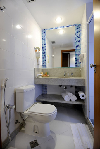 Bathroom 4, Quality Hotel Aeroporto Vitoria, Vitoria