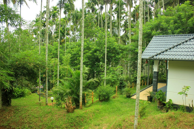 Others 2, Vintage Garden Resort, Wayanad