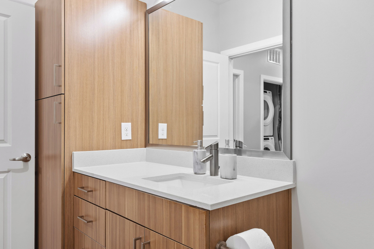 Bathroom 2, The Celebrity Suite The Gulch, Davidson