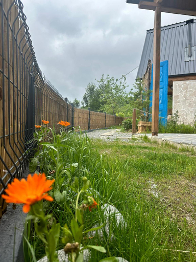 Others 4, Cile Vadi Bungalov, Ardeşen