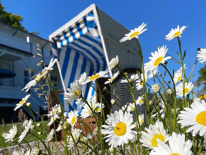 Others 5, Villa Azur, Vorpommern-Rügen