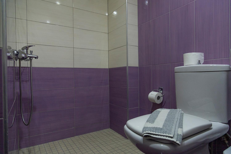 Bathroom 5, Dafni Plus Hotel, Central Macedonia