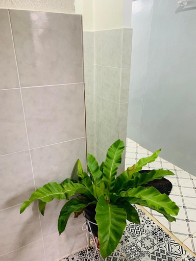 Bathroom 3, Baan Mae Somkid Homestay, Muang Sukhothai