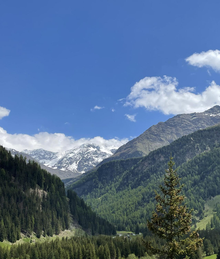 Others 4, Residence Regina delle Alpi, Sondrio