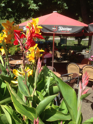 Food & Drinks 5, Pension Doren, Cochem-Zell