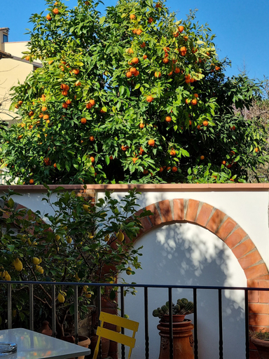 Exterior & Views 2, B&B Firenze 400, Florence