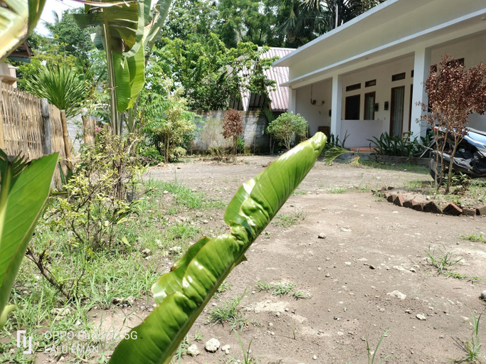 Others 2, Ebucu, Lombok