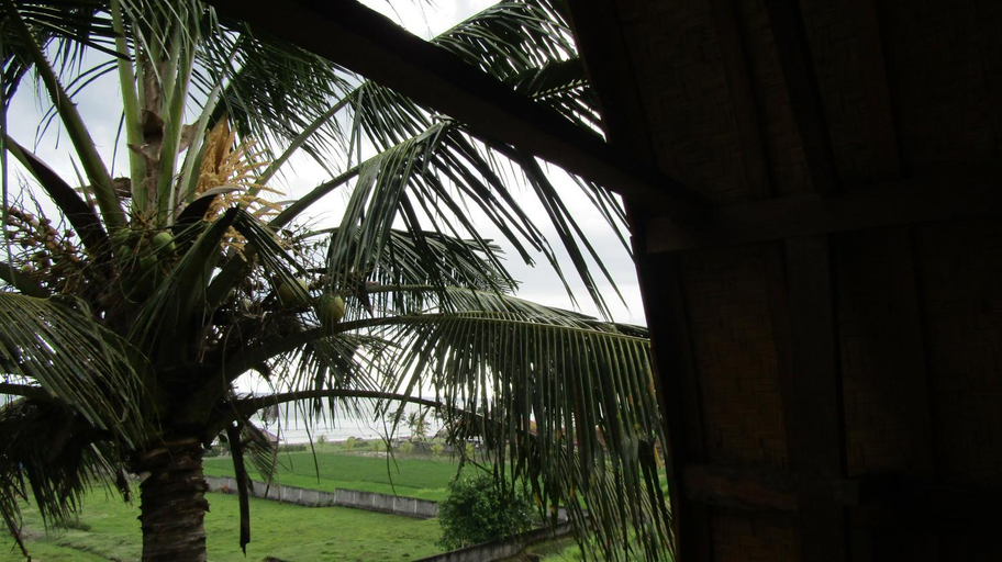Others 3, Dikaloha Surfschool and Stay, Jembrana