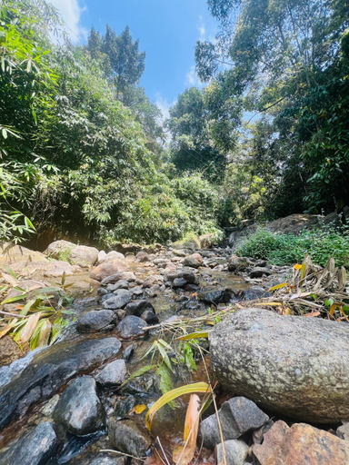 Others 5, Mountcourt Munnar, Idukki