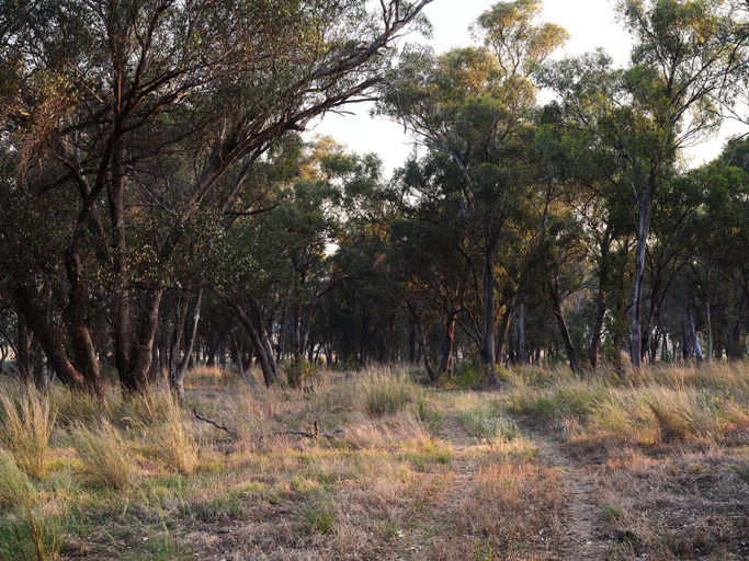 Others 3, Shawwood Estate, Mid-Western Regional - Pt A